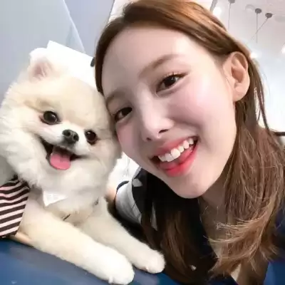 焦成娥